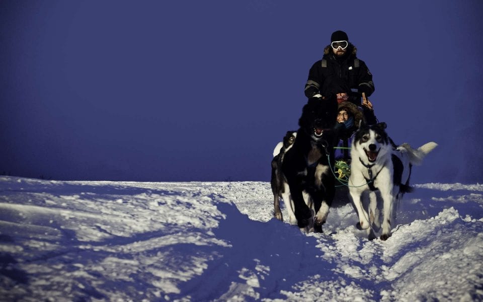 dog sledding tromso – Arctic Holiday