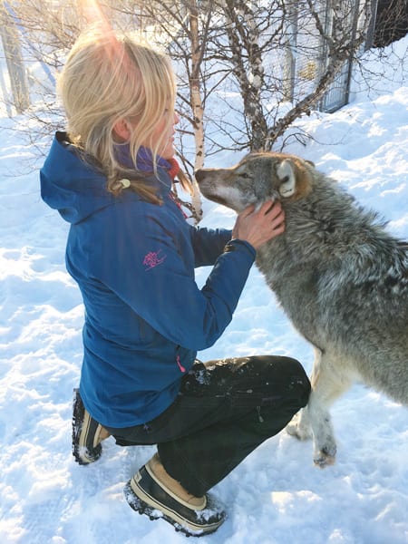 Kiss of the Arctic Wolf Tour