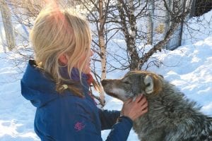 Kiss of the Arctic Wolf Tour norway