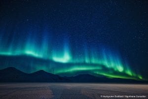 Green and blue northern lights show in starry winter night sky with mountain backdrop in Svalbard, Arctic Norway