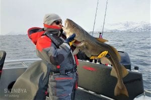 fisherman tourist kissing a caught cod fish on boat in svolvær norway