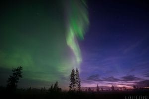 northern lights sky half green purple norway resort