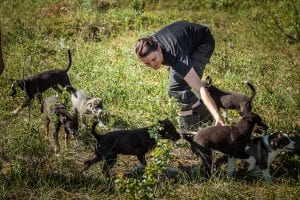 Puppy Training