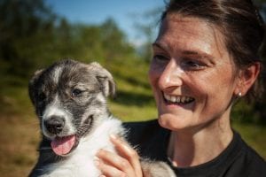 Puppy Training