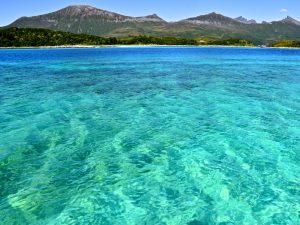 Hamn i Senja Archipelago sea green